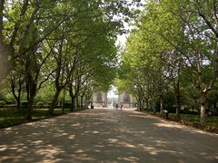 android_upload_pic-蠡湖中央公园