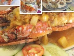 -Red Lobster