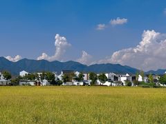 -东梓关景区村庄