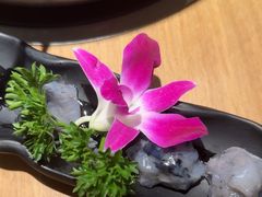 -掂档潮汕牛肉火锅(沈阳万象城店)