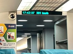 -龙阳路磁悬浮列车总站-停车场