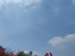 -木兰云雾山