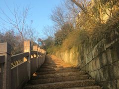 -杭州半山国家森林公园