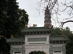-顺峰山公园