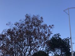 -墨池公园