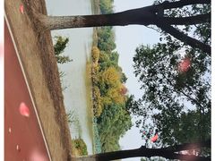 -艾溪湖湿地公园