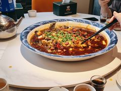 -新概念来凤鱼(璧山店)