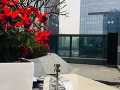 -珠海拱北口岸富华里中海雅高铂尔曼酒店
