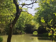 -西溪国家湿地公园