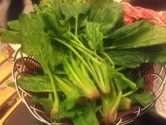 -马一洒开锅羊肉清真餐厅(京汉店)