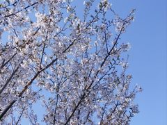 -白塘生态植物园