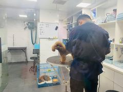 -萌兽医馆·宠物医院·猫骨科(创景店)