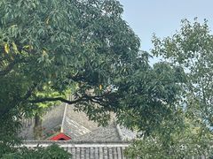 -青城山