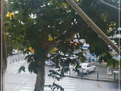 -阿姐小菜(三林店)