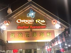 -真浪花园海鲜餐馆