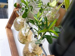 -UPUPKAFE  立咖啡(浏城桥店)