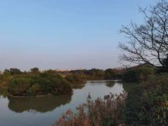 -海上田园
