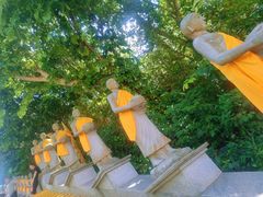-西双版纳勐泐文化旅游区