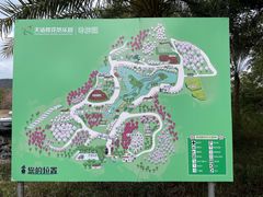 -天适樱花悠乐园