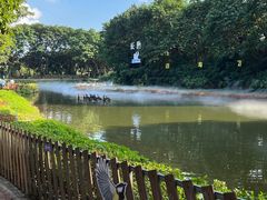 -广州长隆飞鸟乐园
