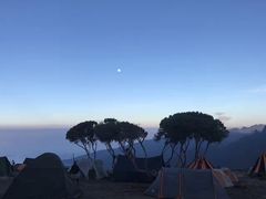 -乞力马扎罗山