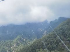 -牛背梁国家森林公园