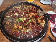 -老板恋上鱼(恒隆广场店)