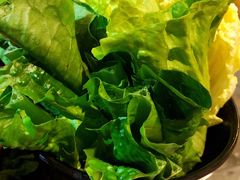 -探窝·竹笙椰子鸡(杨箕店)