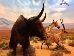 -浙江自然博物院(杭州馆)