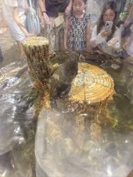 -Zoolung Zoolung动物主题公园(海信广场店)