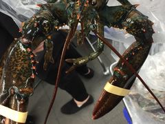 -盒马鲜生(大成店)