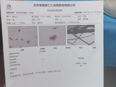-宠福鑫动物医院·动物疾病诊疗中心(天通苑店)