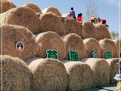 -北京鹿世界主题园