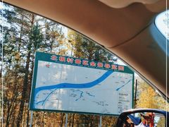 -北极村旅游风景区