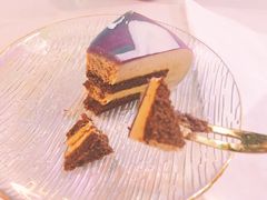 -Husky Go! 哈士奇体验馆·宠物咖啡厅狗咖