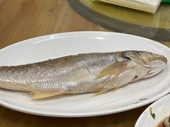 -长平老姿娘夜粥(平东一街店)