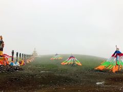 -大冬树山垭口
