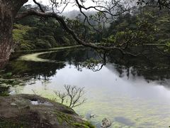 -老字号黄妹火盆烧烤