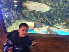 -华夏文旅海洋公园