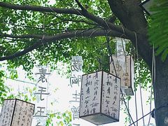 -陶缘一号·四季缘·老字号顺德菜·户外婚礼家宴(西滘店)