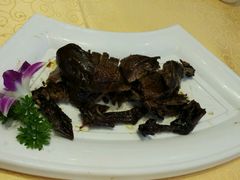 -南湖船菜大酒店
