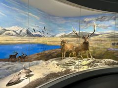 -北京麋鹿生态实验中心