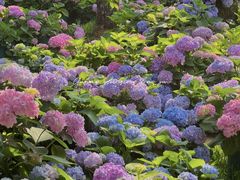 -名花谷生态庄园