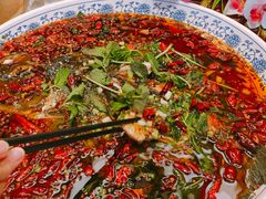 杨记招牌鱼-杨记隆府(白象街店)