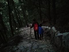 -阳台山自然风景区