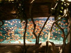 -绍兴梦享海洋公园