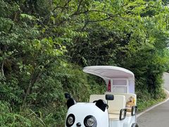 -武陵山森林公园