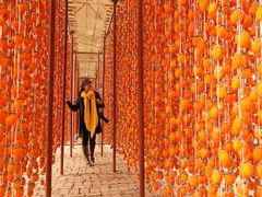 -习仲勋故居