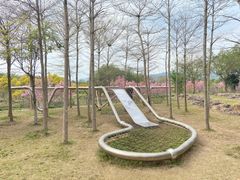 -天适樱花悠乐园