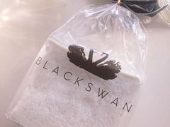 -BLACKSWAN黑天鹅(环球店)